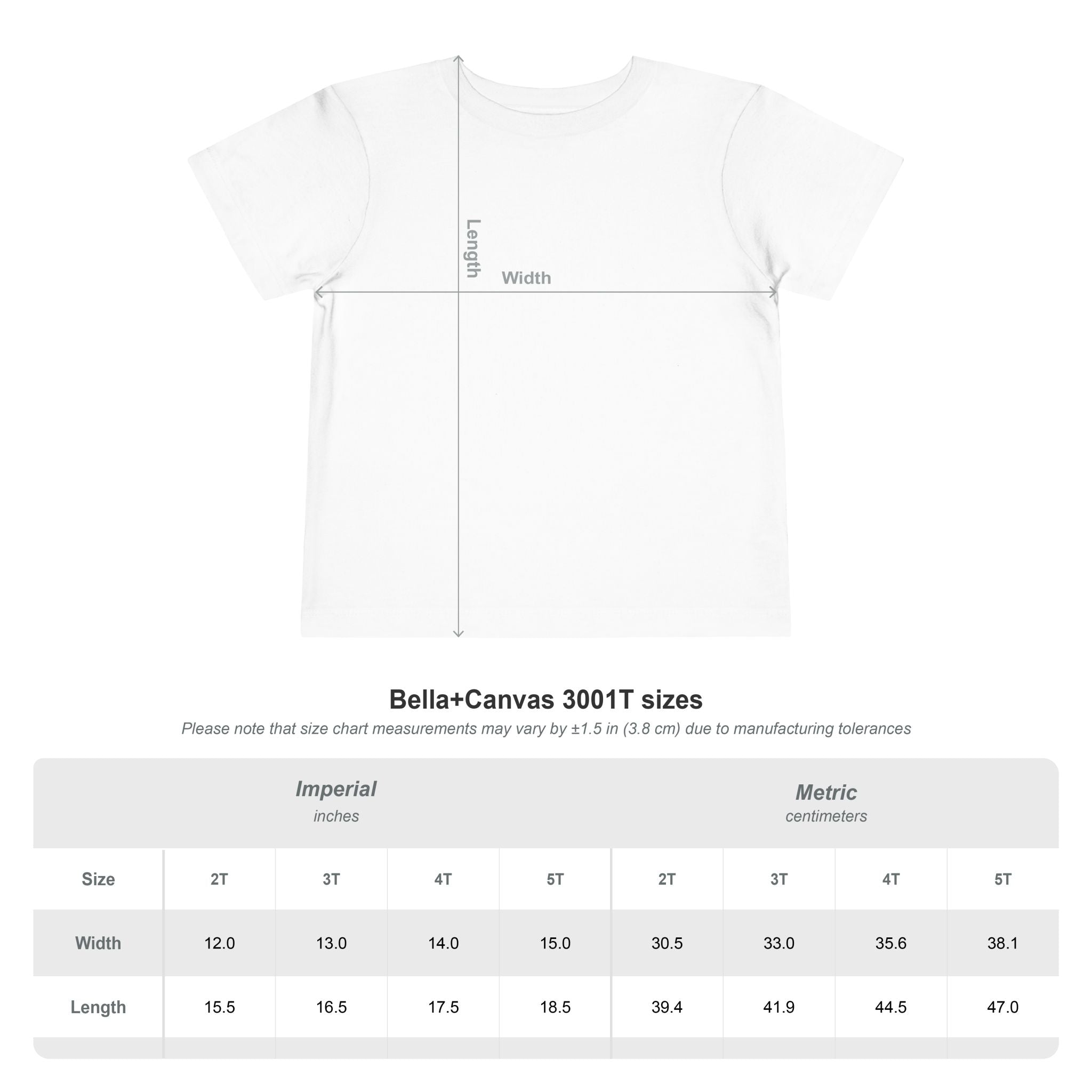 Toddler Tee – Shell Collector | Tiny Tides™ Collection | Salt & Spray Co.